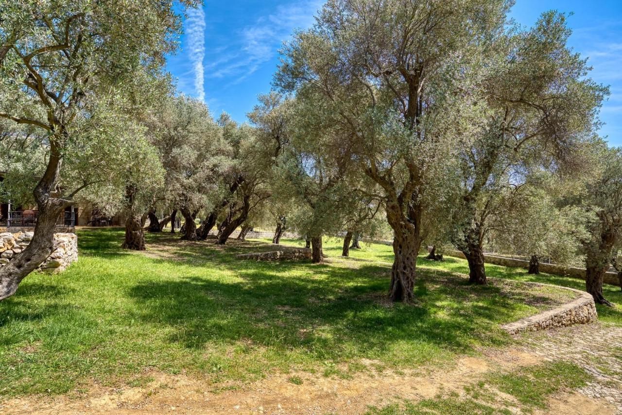 Апартаменти Stonehouse In Olives Улцинь Екстер'єр фото